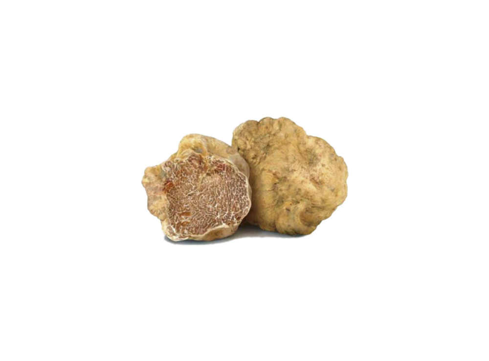 White Truffles of Alba or Acqualagna Small Size – Tartufo Bianco di Alba e di Acqualagna