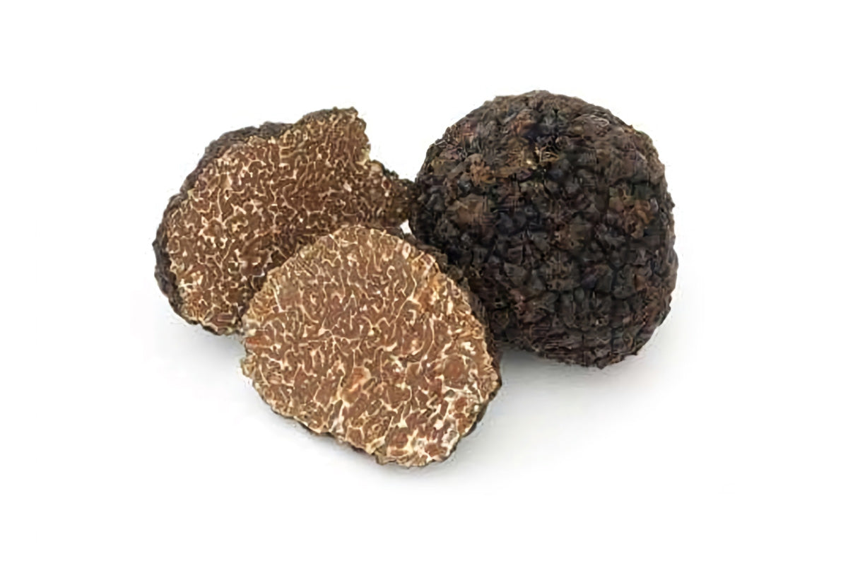 Summer Black Truffle – Black Summer Truffle or Scorzone – Tuber aestivum Vittadini